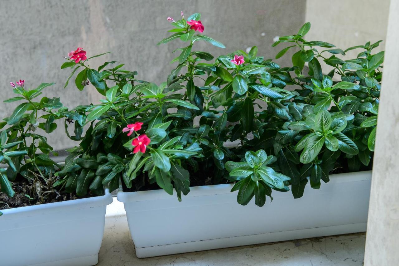 Novo Bed & Breakfast Foggia